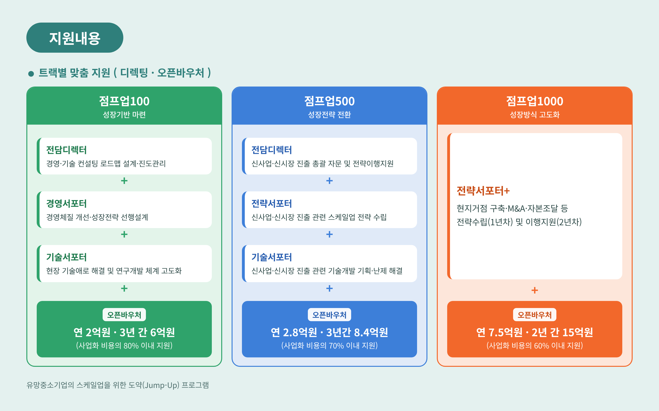트랙별 지원내용(디렉팅, 바우처) 도식